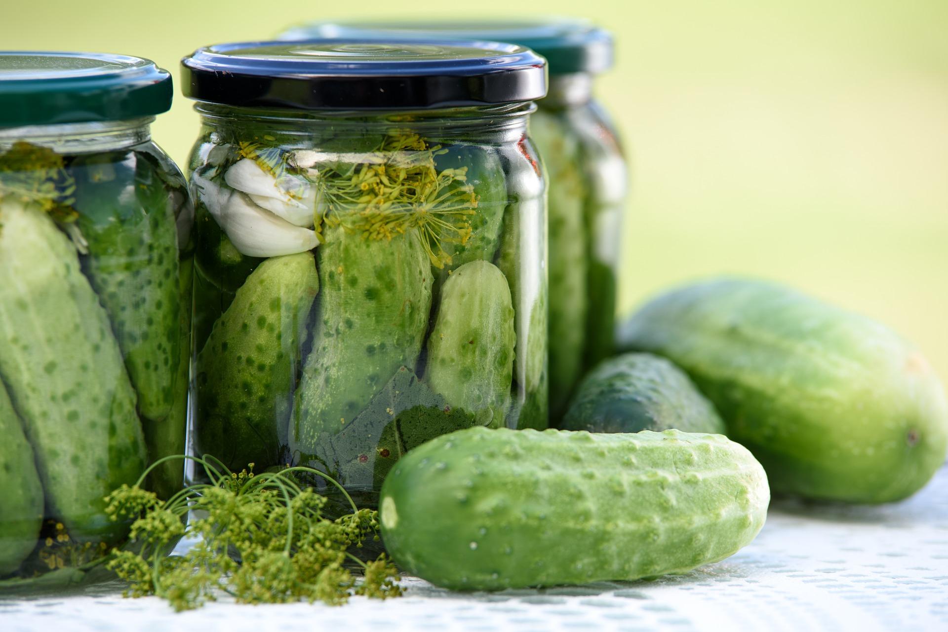 pickles (1) (1) (2).jpeg