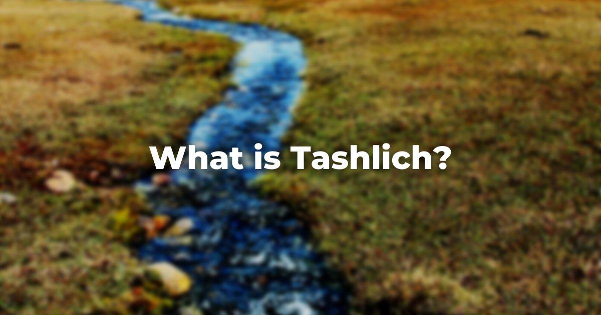 what-is-tashlich-20230908-211127.jpg