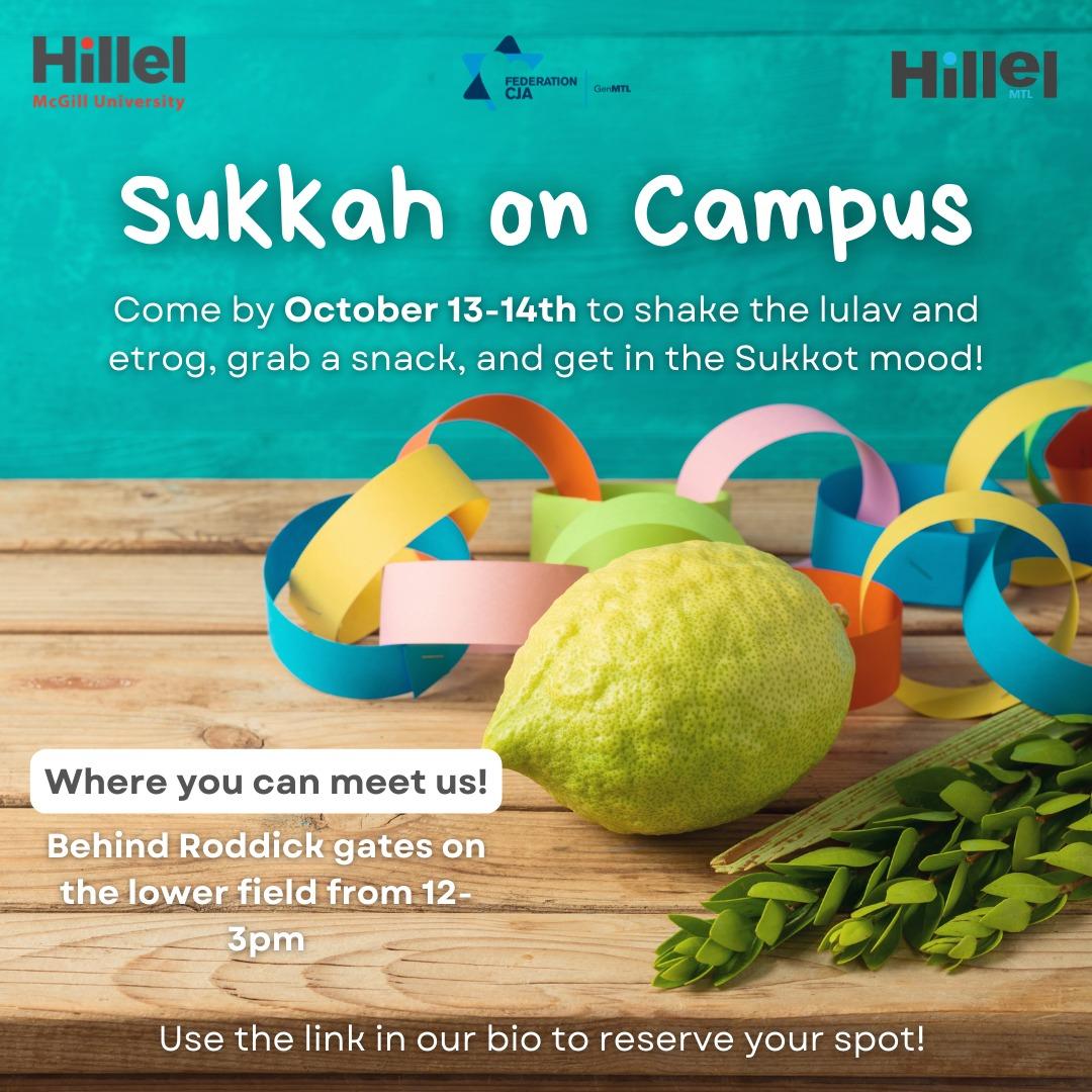 sukkot eng-20221006-152934.jpeg