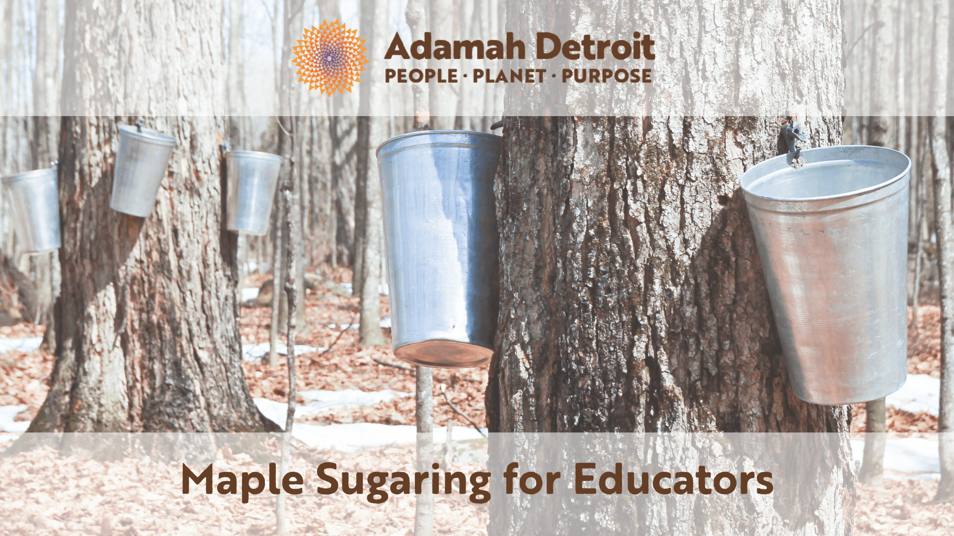 maple sugaring for educators (1920 x 1080 px)-20240213-153856.png