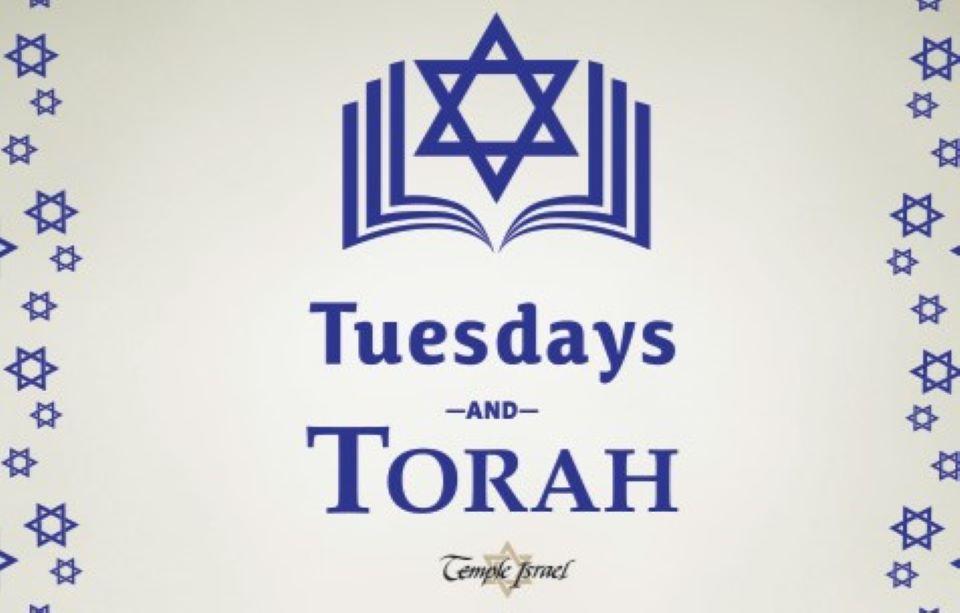 4716 - tuesdays and torah email banner-20240821-162301.jpg