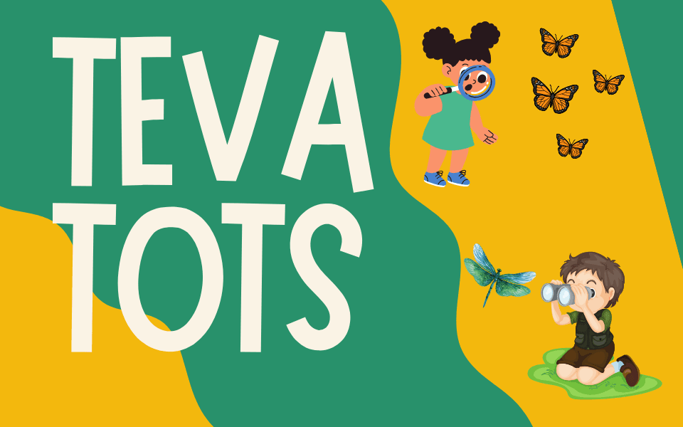 teva tots fall 2024 (960 x 600 px)-20240814-184528.png