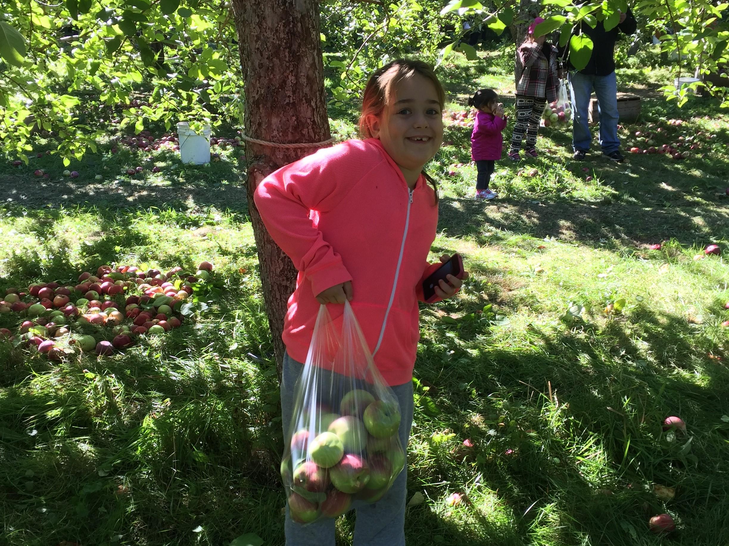 apple picking 1-20220918-212508.jpg