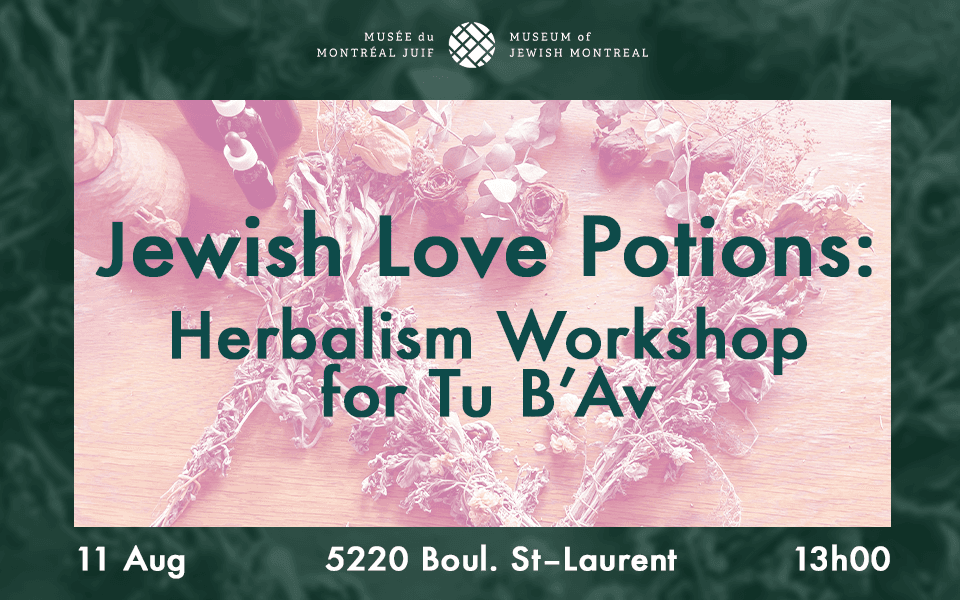 celia tu b'av workshop-jlive banner-20240723-145844.png