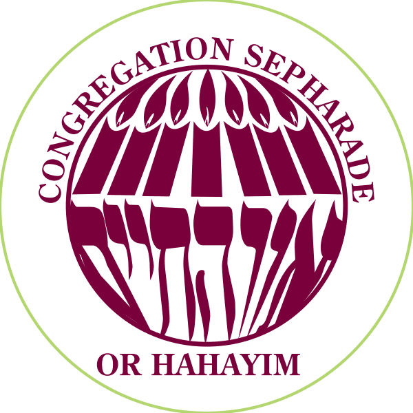 Logo Or Hahayim.png