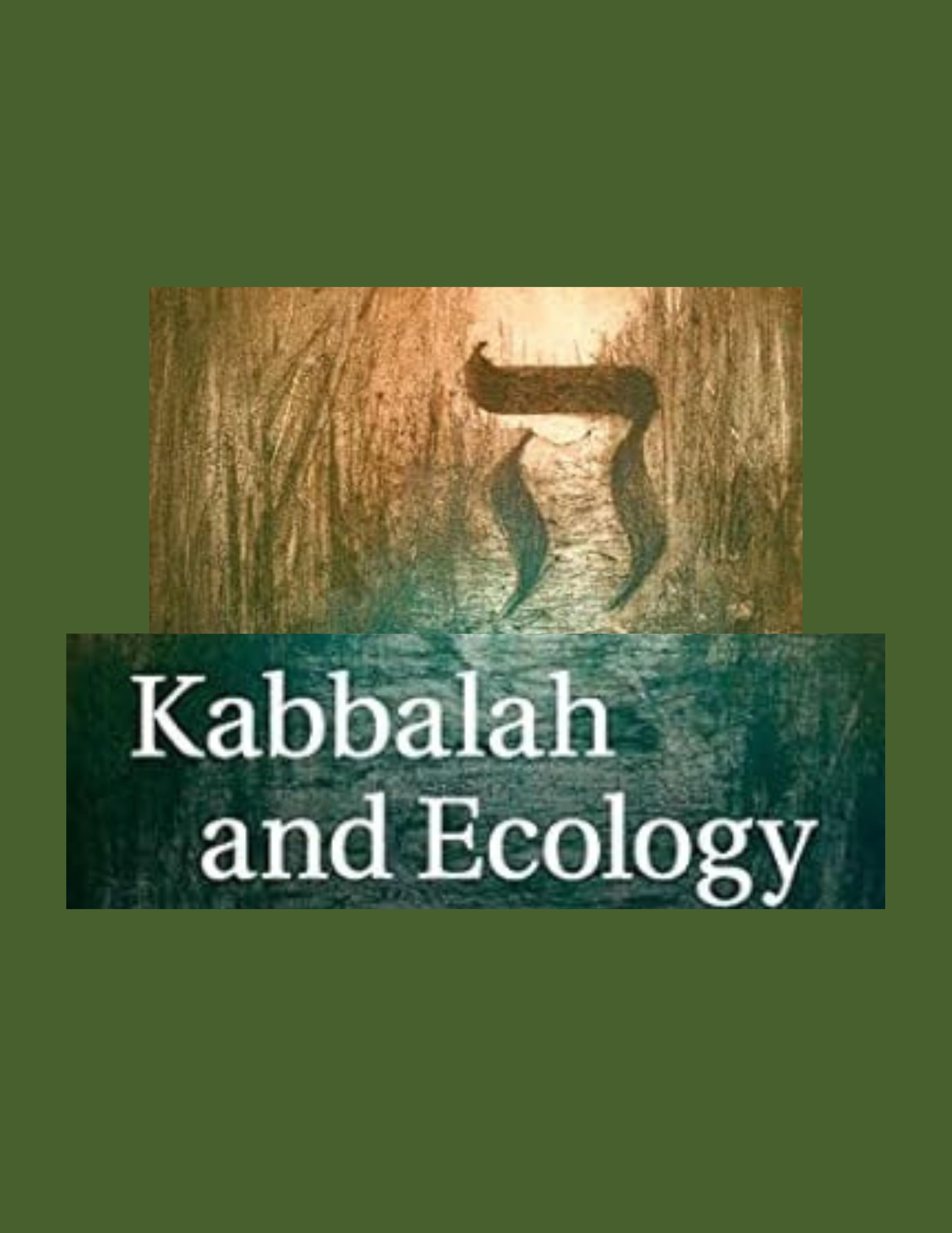 4 Eco Conversations with Rabbi David Seidenberg