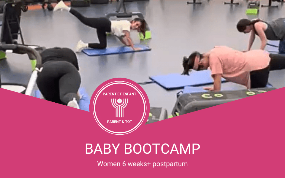 baby bootcamp en-20231205-145453.png